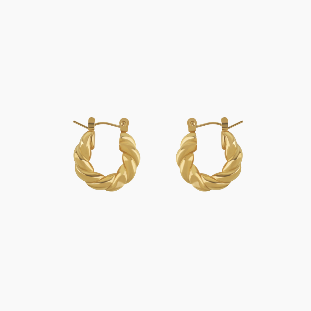 Hoop on sale twist earrings