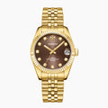 DORADO Gold Timeless Watch - Chocolate