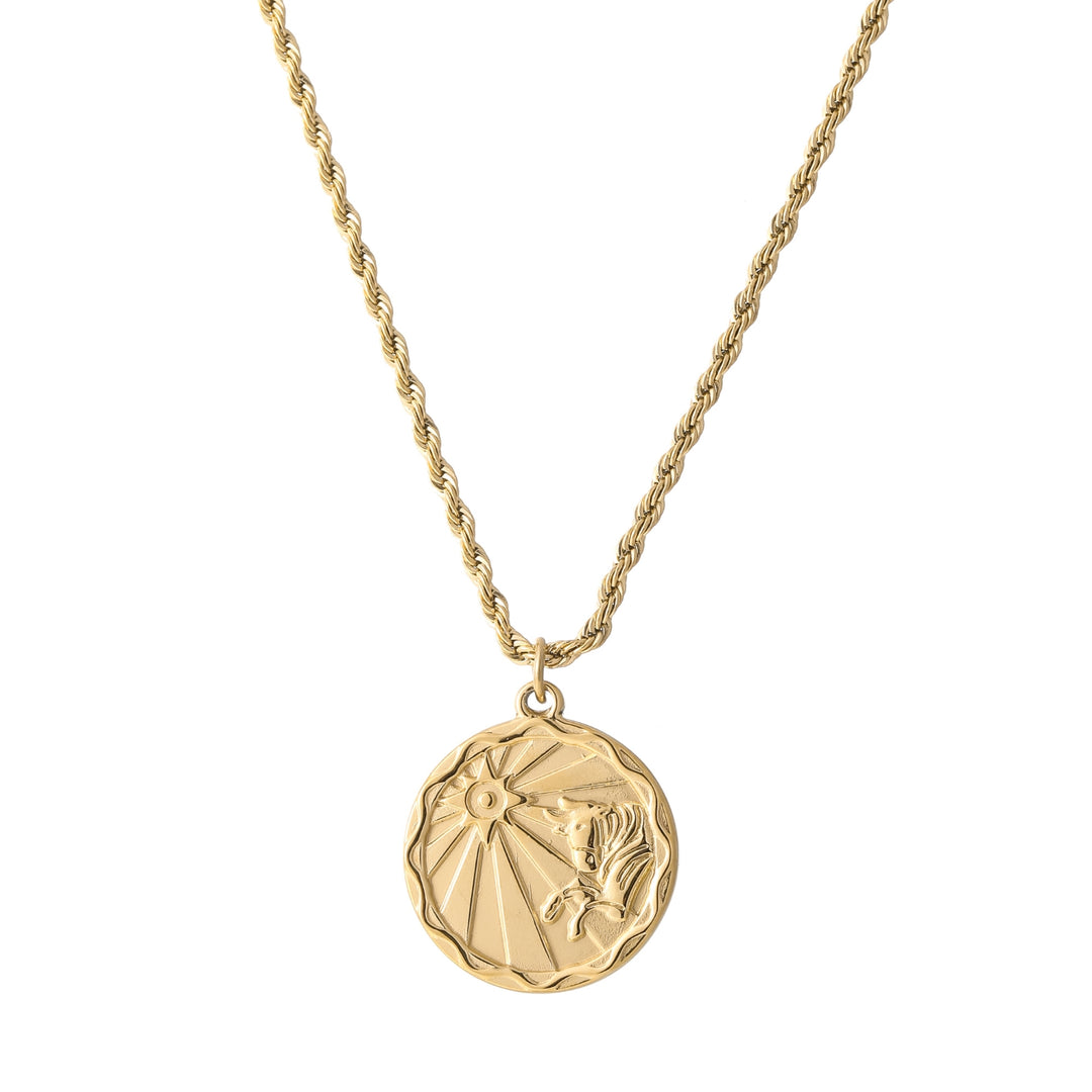 Zodiac Coin Necklace w/ Rope Chain | Necklaces by DORADO