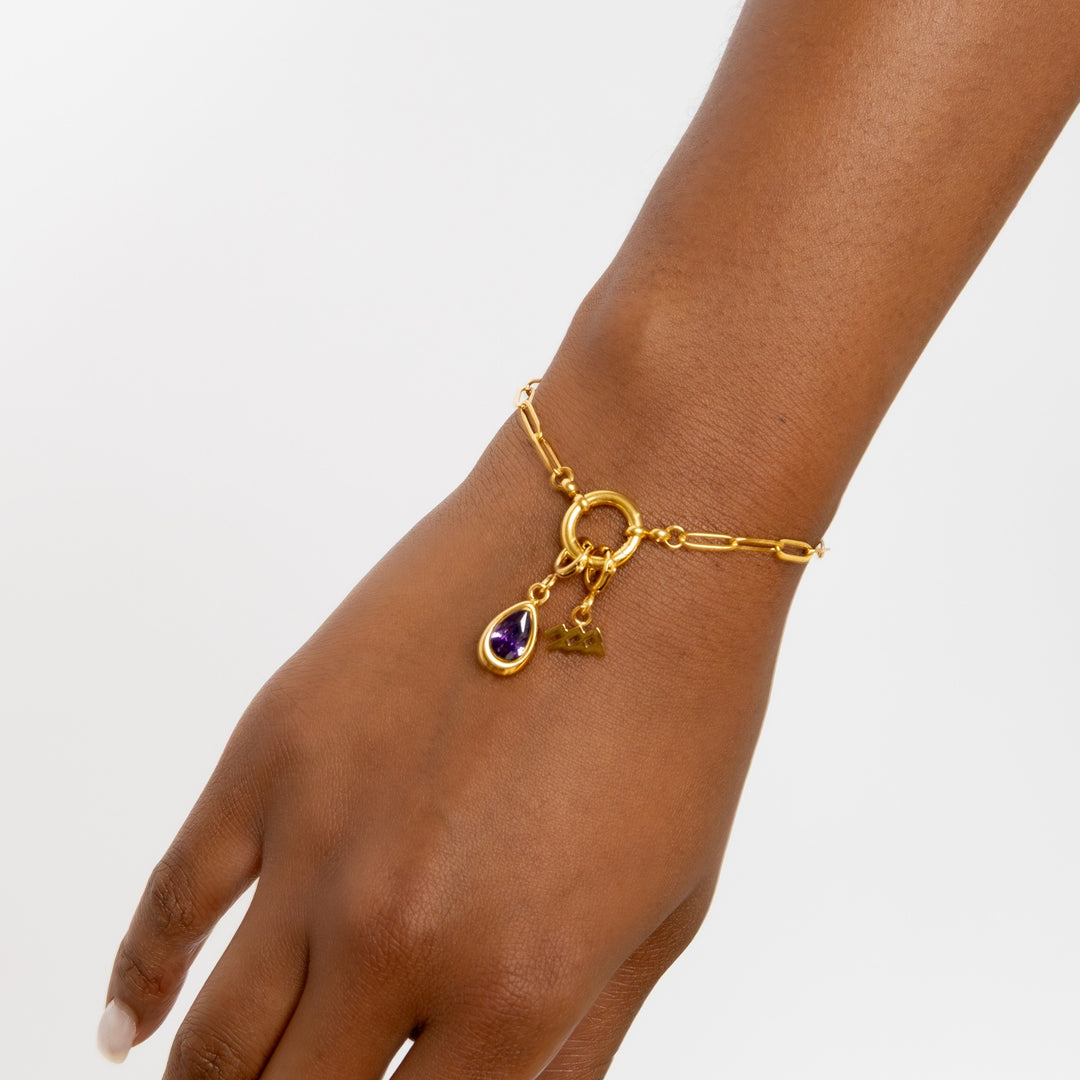 Zodiac Sign Charm | DORADO