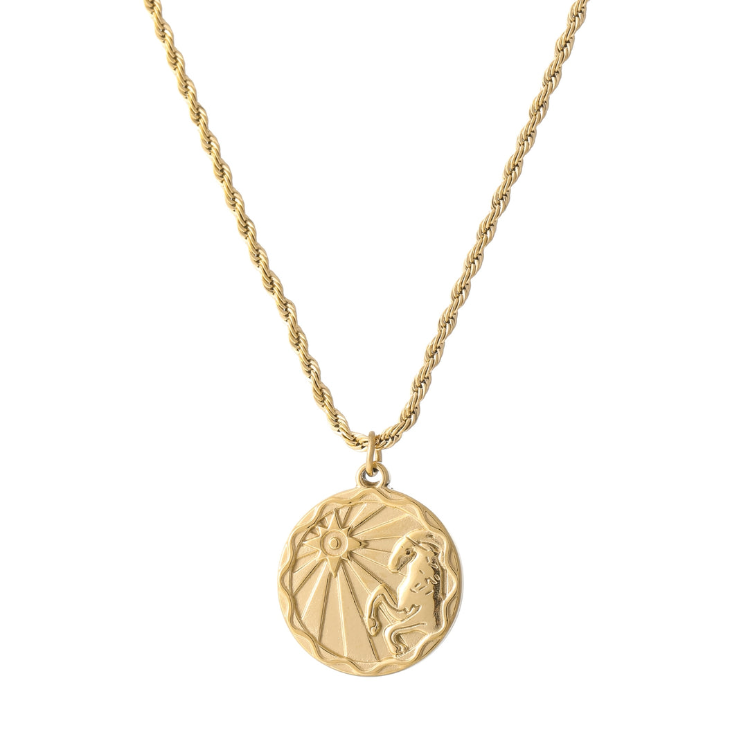 Zodiac Coin Necklace w/ Rope Chain | Necklaces by DORADO