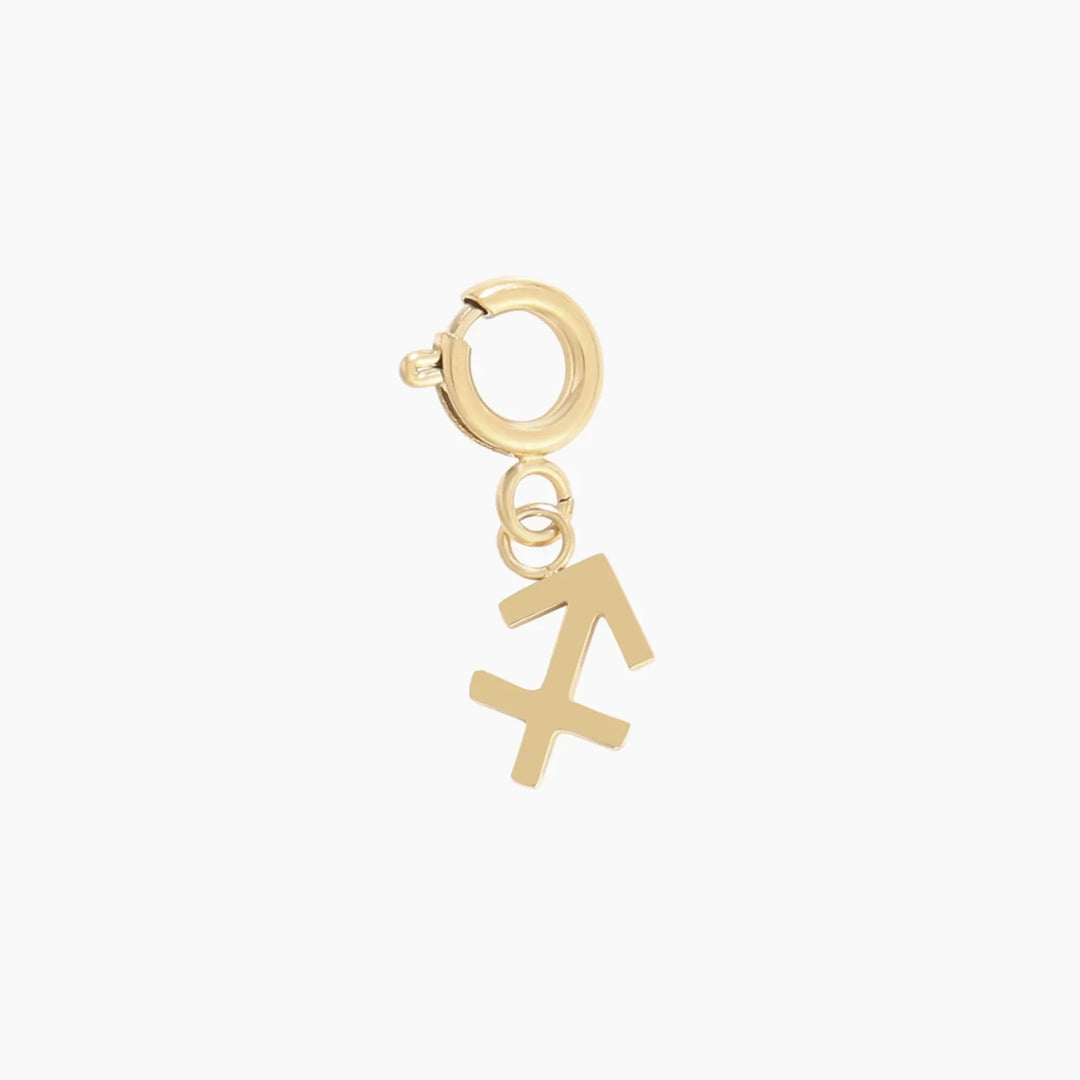 Zodiac Sign Charm | Charms by DORADO