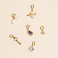 Zodiac Sign Charm | DORADO